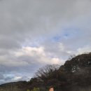 에코랜드수영장 수영장 이미지