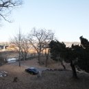 양계정사 이미지