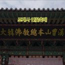 신도연못 옆 | 조계사 연꽃축제 후기, 연못 없이도 연꽃 가득한 사찰