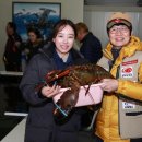 안성실내바다낚시터 이미지