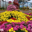 하모니카 연주 이미지