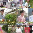 끼리끼리 이미지