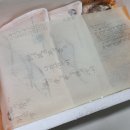 영광보리굴비 거영굴비유통 간편하게 먹을수있는 찐보리굴비