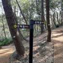길촌길 티스토리