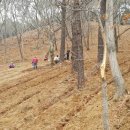 하루네 농장 이미지