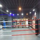 월드복싱클럽 이미지