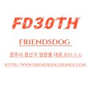 도그프렌즈 이미지