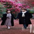 황금관광농원 티스토리