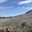 CU 서귀정방점 | 2025-12 내가 고른 제주 맛집