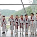 이루다태권도 이미지