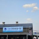 [강릉여행] 주문진좌판풍물시장 주혁이네 회 포장 내돈내산후기