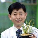 청초한 우리 춘란, 우리 말고 누가 지켜주나요