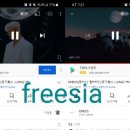 freesia / 20211109 / 오후 7시 이미지