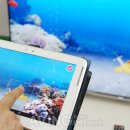 부싯돌(BUSIDOL) 이미지