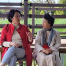 늘봄추어탕 이미지