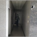 고성환경방역