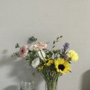 리안블라썸 네이버블로그