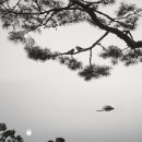 작은갤러리 이미지