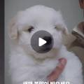 행운캔넬 이미지