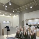 언니네필라테스청주평생교육원 - 청주시 청원구 충청대로 175 | 언니네필라테스청주평생교육원