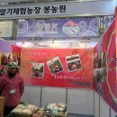 김이순농장 Daum카페