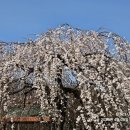 인천대공원(다목적광장) 이미지