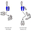 ﻿부르스 기본스텝 (사이드 지그재그 & 리버스 턴)... 이미지