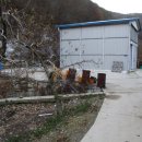 마령산해로(임동면) 이미지