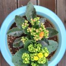 강화땅공인중개사사무소 이미지