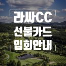 라싸디벨로프먼트(주)
