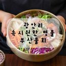 부산 광안리 3대 물회 맛집 속시원한 명물 부산물회 후기