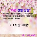 경혈테라피 이미지