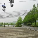 기린05 Daum카페