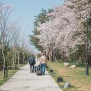 허균생가터
주차장 이미지