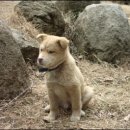 선빌리지모텔 이미지