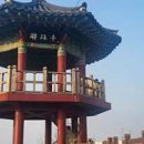 배산체육공원 테니스장 이미지