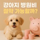 아워퍼피 | 강아지 병원비 절약법 | 2025년 보호자들이 실천 중인 현실 꿀팁 7가지
