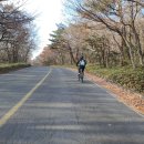 영실농장 이미지