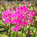 환희노래방 이미지