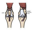 뉴욕종합동물병원 이미지