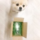 퍼리박스 이미지