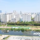 세한공인중개사사무소 이미지