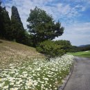 (주)블랙스톤리조트 | 무기명혜택으로 다녀온 극강은 고난이도 골프장~ 블랙스톤이천cc 북코스,서코스 라운딩~ (골프회원권...