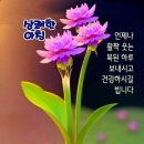 7월11일 오늘도 힘내세요ㆍ화이팅! 뉴스브리핑 이미지