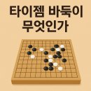바둑이PC | 타이젬 바둑이란 무엇인가?