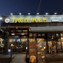 마전 | 검단맛집 타코몰리 검단마전점 마전동타코 맛집 후기