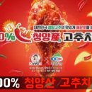 강원광고