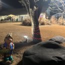 안성파크 이미지