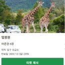 렌트카로 구경하는 후지 사파리 파크 | 예약 방법 • 입장료 • 사파리 후기 • 아이들과 가볼만한 곳 추천