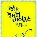 해피바이러스